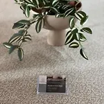 B305, Schoene 2-zimmer Ferienwohnung *